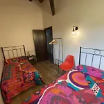 O Zierzo