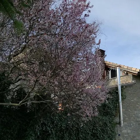 O Zierzo Holiday home Jaca