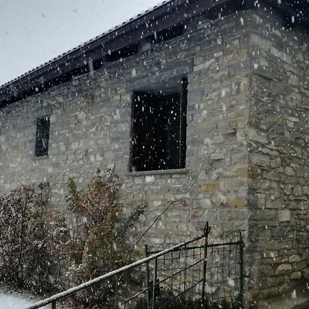 O Zierzo Jaca