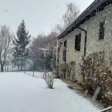 O Zierzo